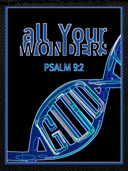 all YOUR wonders DNA
