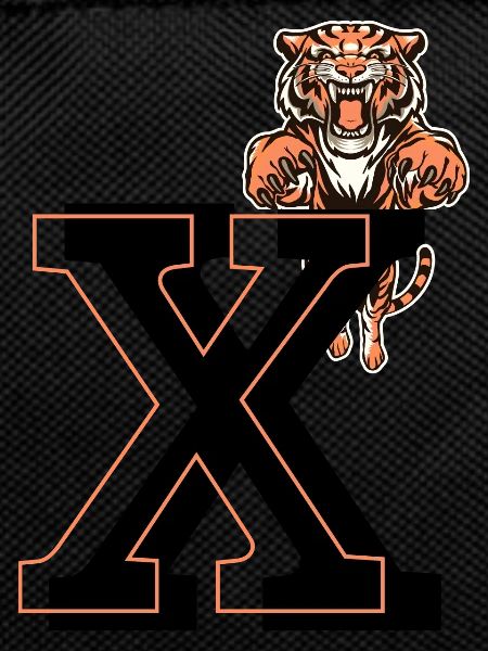 Letter x tiger - gift idea