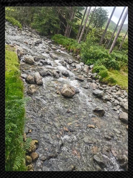 Rocky stream