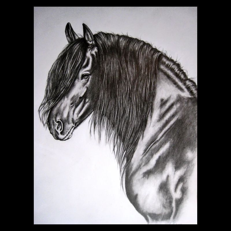 Friese Portrait