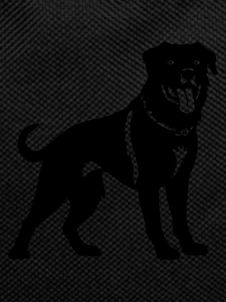 Rottweiler dog
