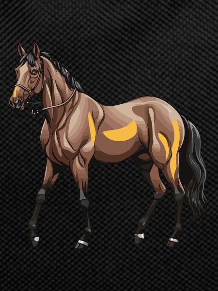 Horse Animal
