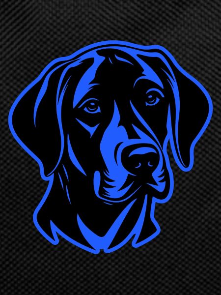 Labrador Dog Head
