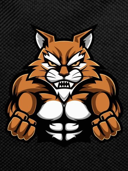 Cat Muscles Workout