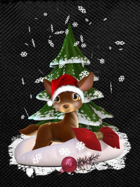 Weihnachtsgeschenk