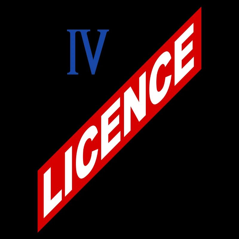 License 4