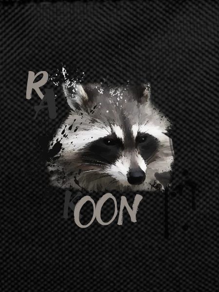 racoon