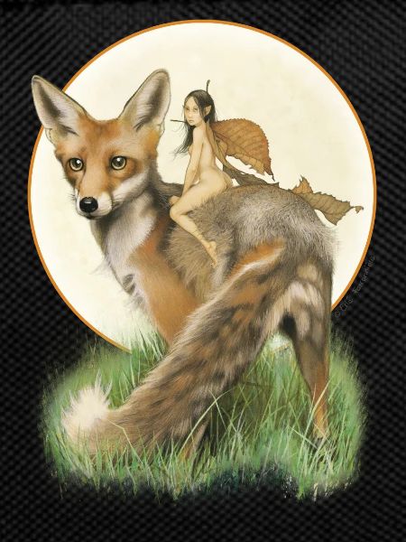 fox and fairy