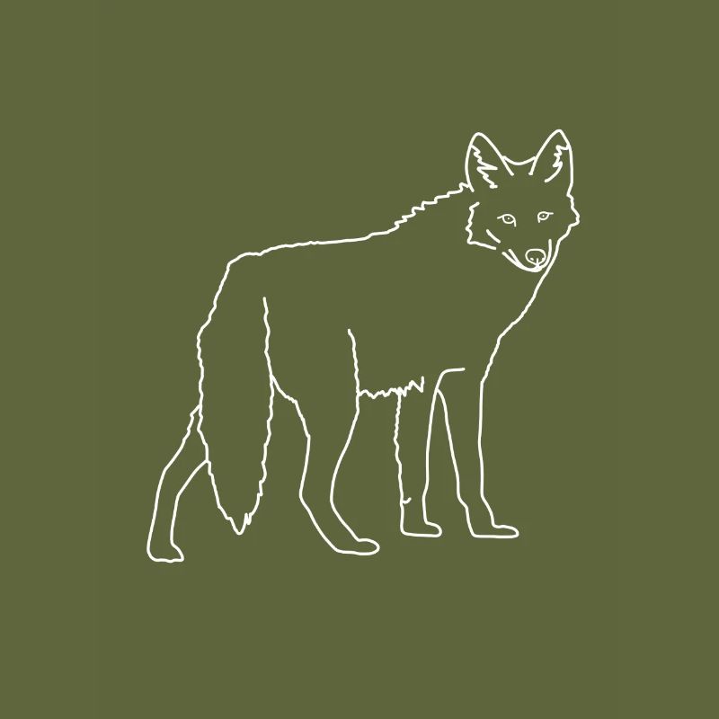 coyote