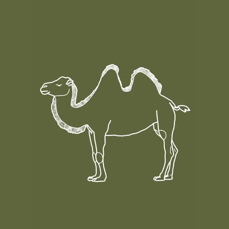 camel