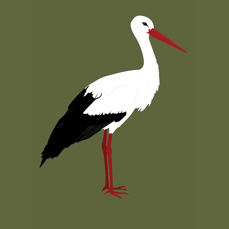 Storch steht