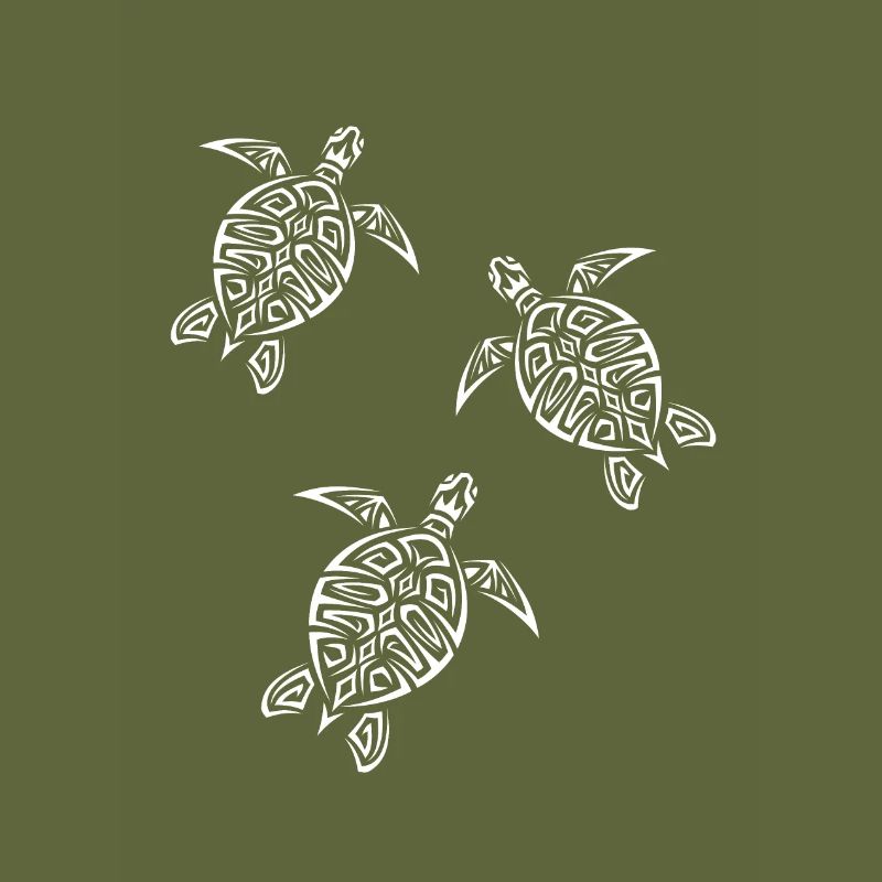 Three white turtles