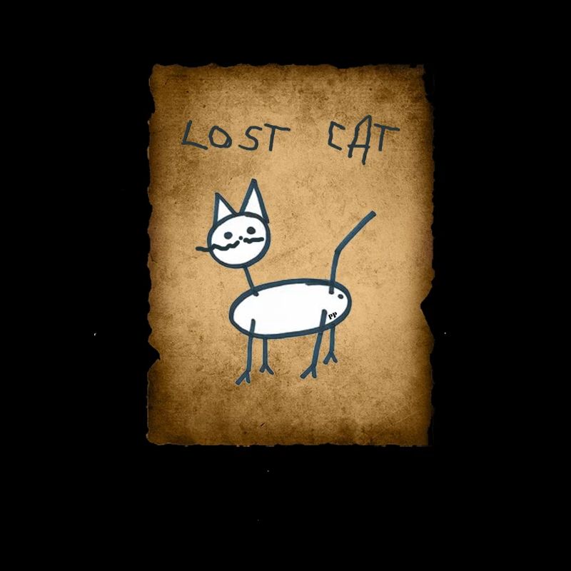 Lost Cat