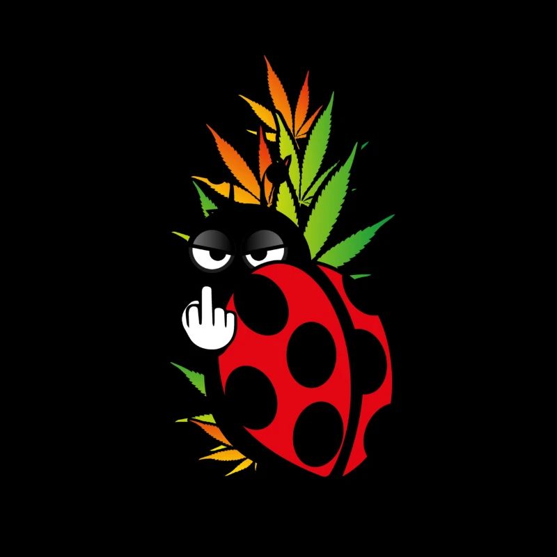 Ladybug