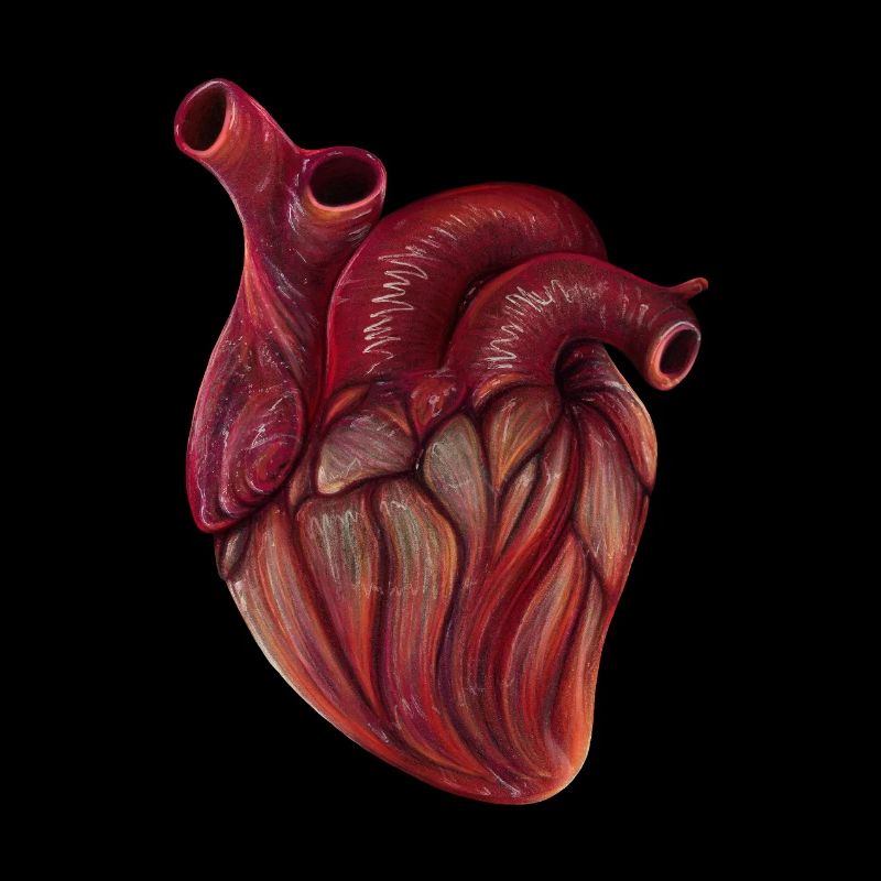 Realistic Heart