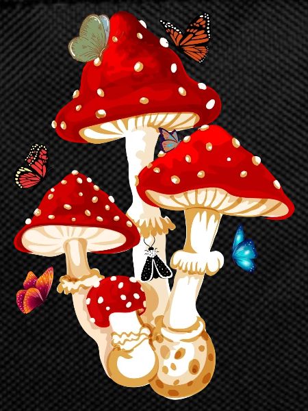 butterfly mushroom