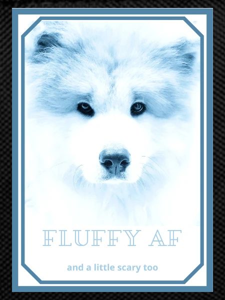 FLUFFY AF 1