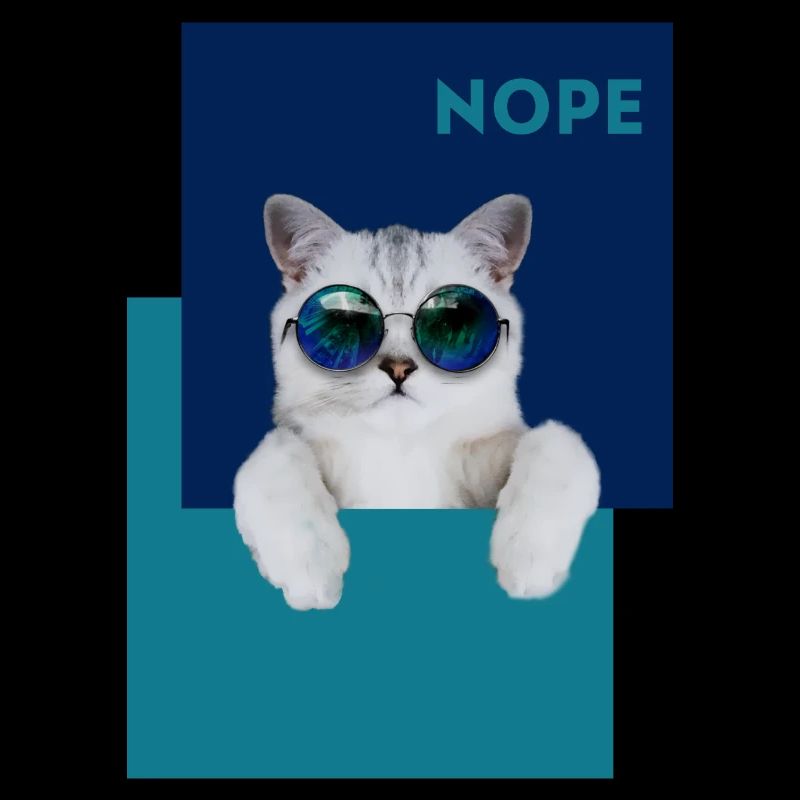 Katze Nope
