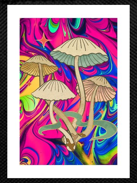 Trippy Mushroom