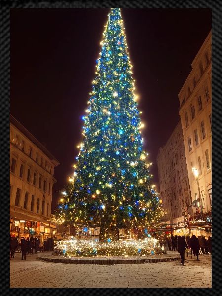 Tall Christmas Tree