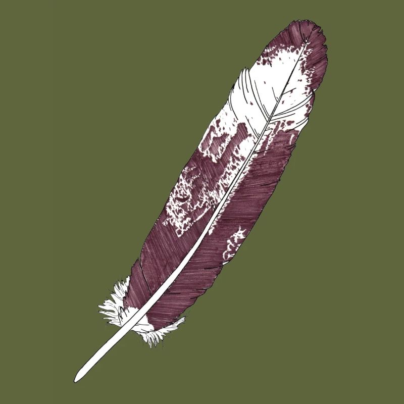 Grande plume brun-blanc dessinée à la main (aigle à queue blanche)