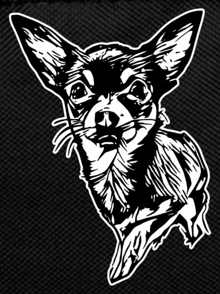 Chihuahua - white border