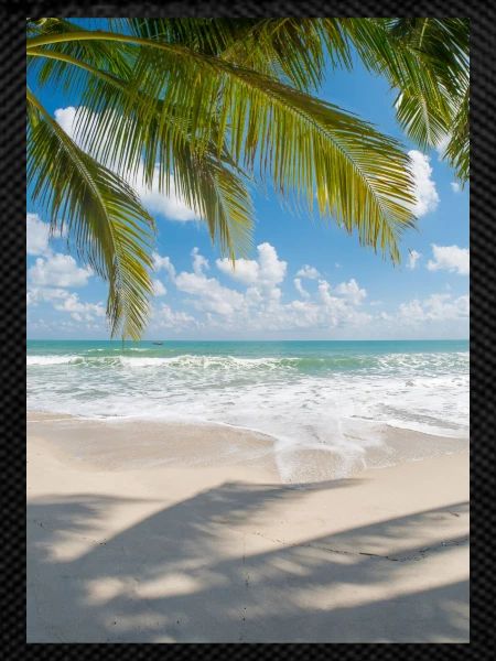 Summer