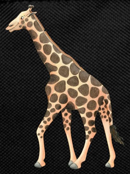 Girafe