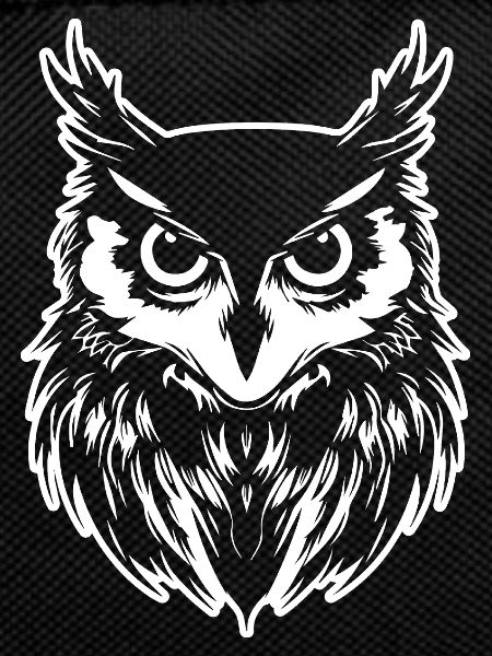 Owl Owl Bird Birds