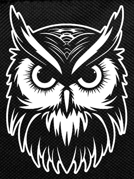 Owl Owl Bird Birds