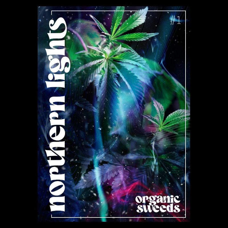 Northern Lights
