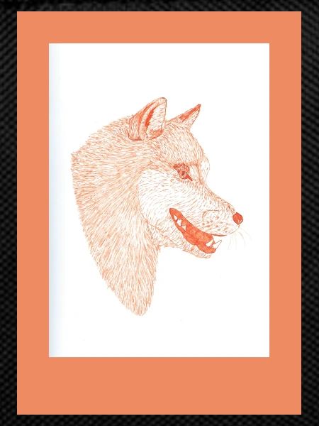 230815 Wolf 4