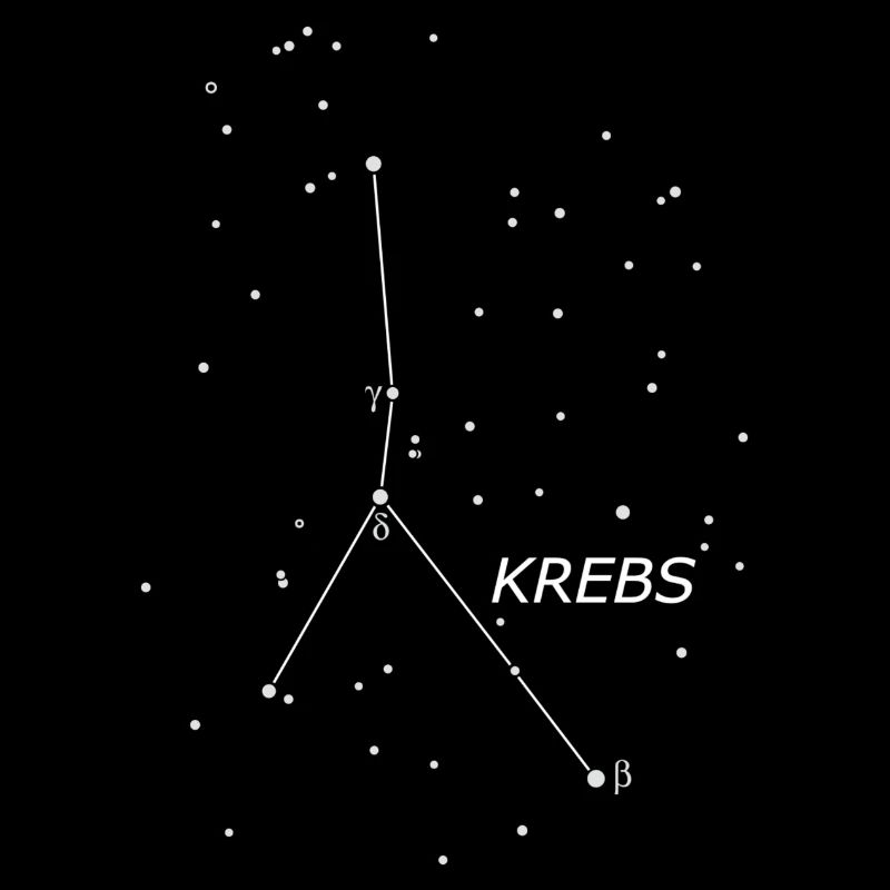 Tierkreiszeichen Krebs