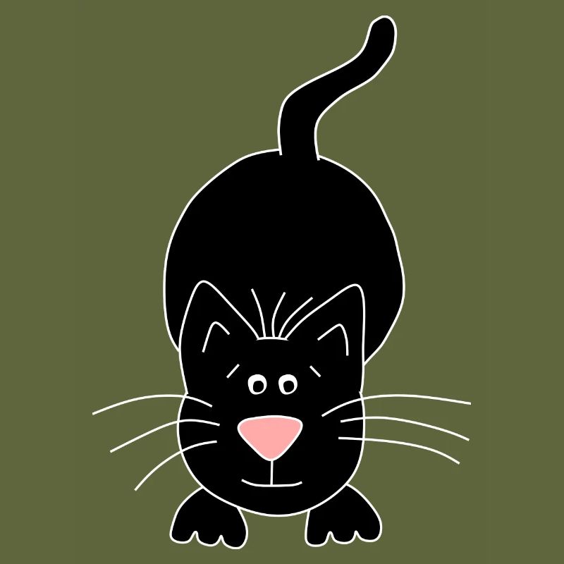 chat noir