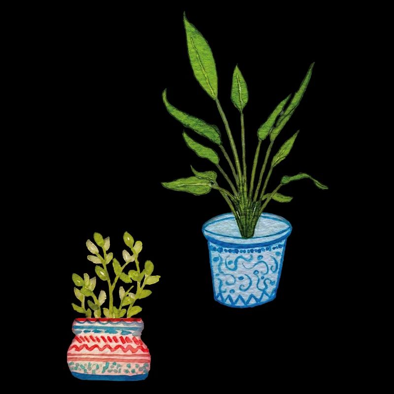 Potted Plants