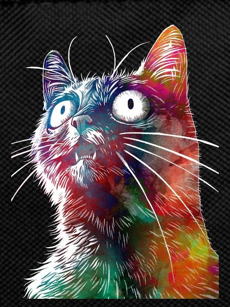 Drôle de cat2