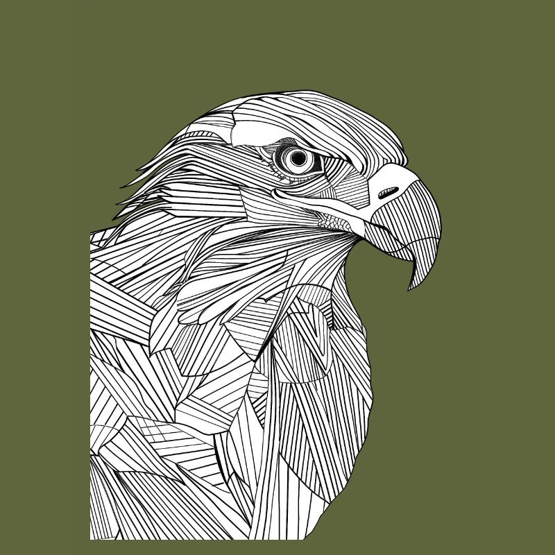 Lines art eagle #eagle