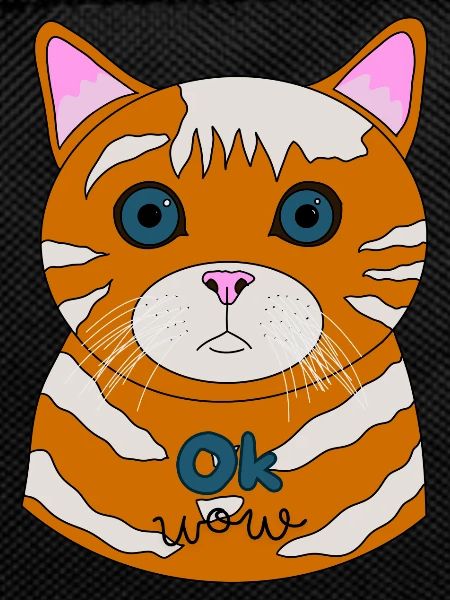 Astonished Cat Ok Wow