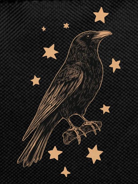 Raven with stars