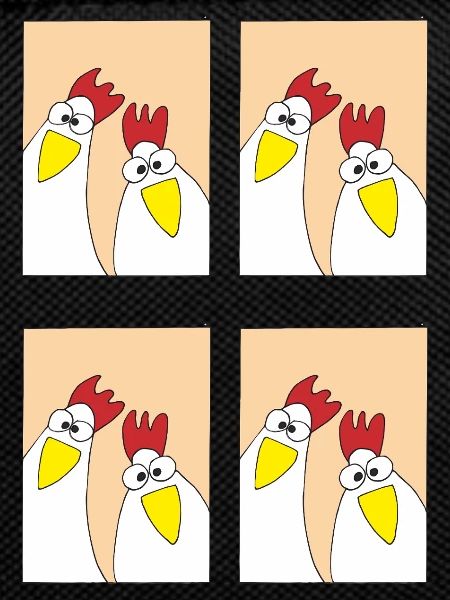 Funny Chickens Pictures