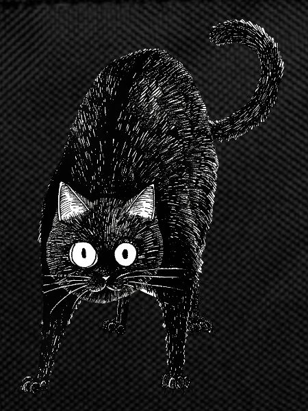 Schwarze Katze