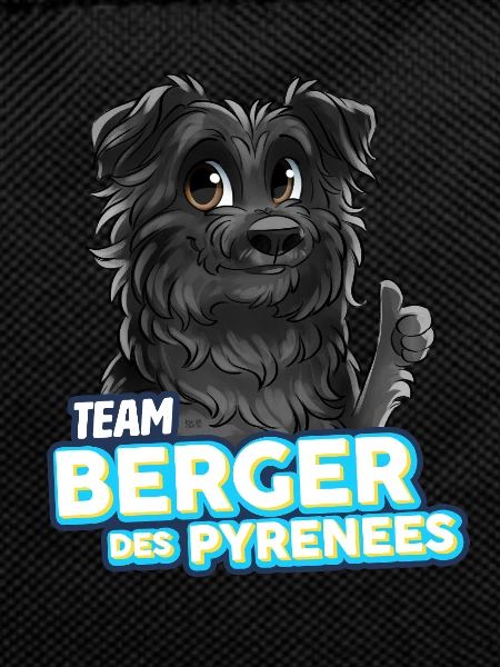 TEAM Pyrenean Shepherd Dog - Black