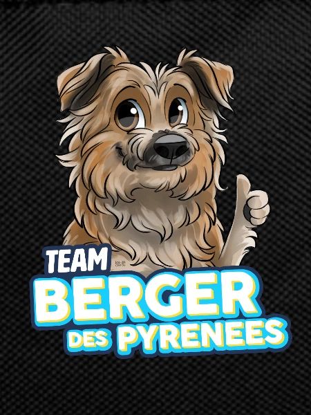 TEAM Pyrenean Shepherd Dog - Fawn