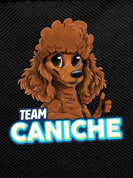 Caniche - Rouge