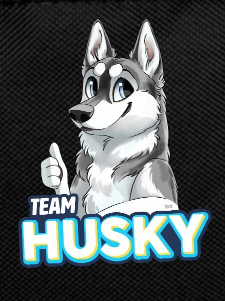 TEAM Husky - Grau
