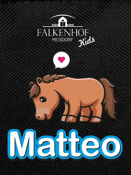 Falkenhof Matteo Comic Horse
