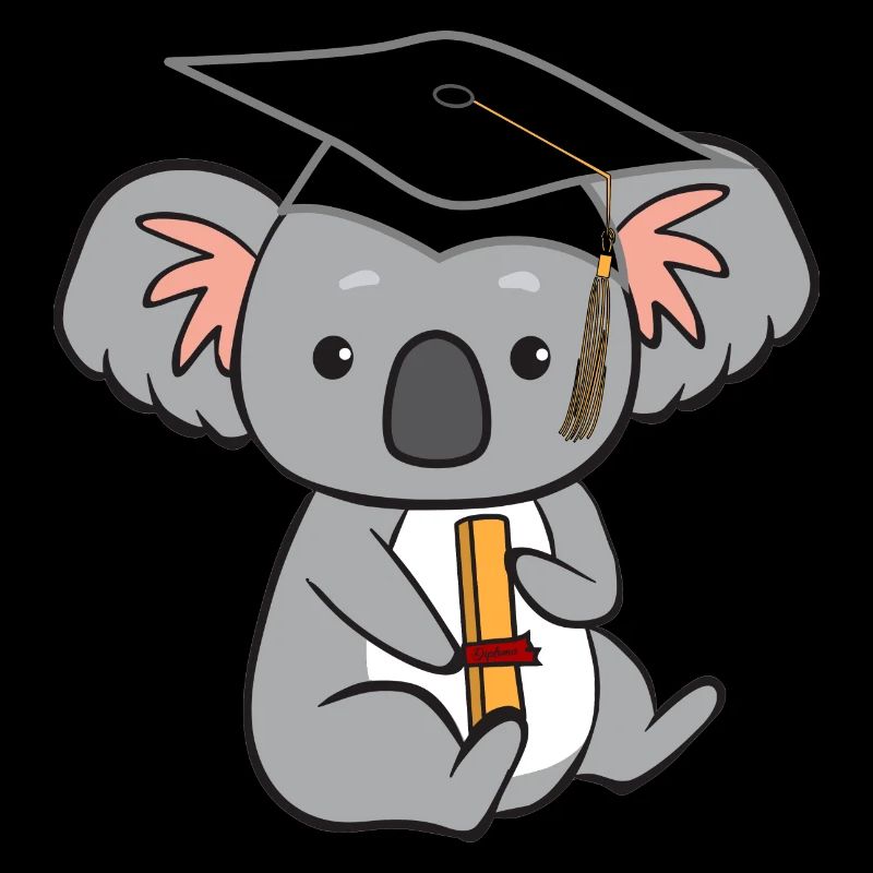 Koala with diploma