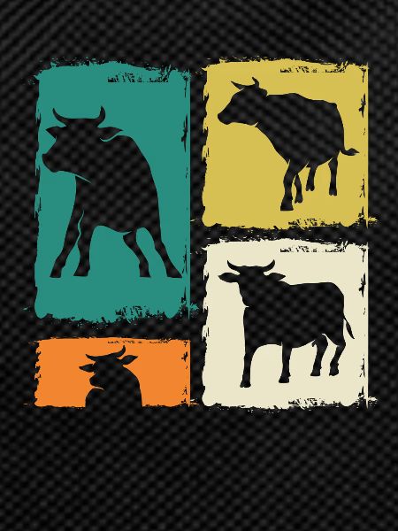 Buffalo Cattle Oxen
