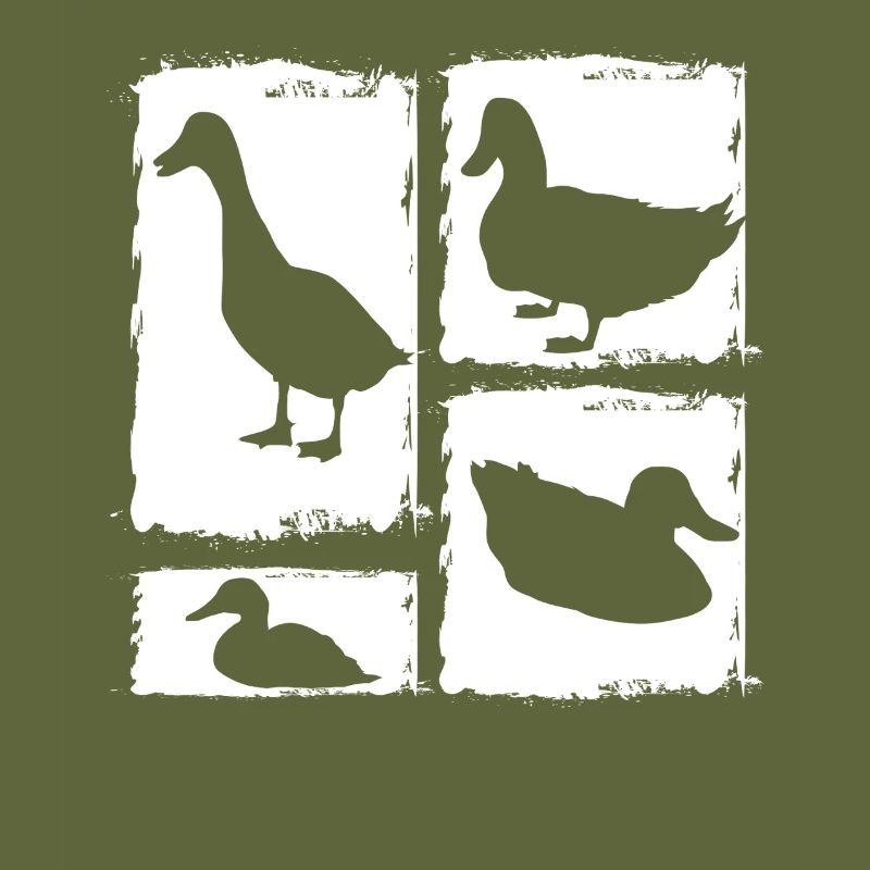 Canards
