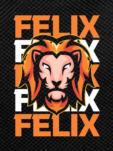 Leo Felix